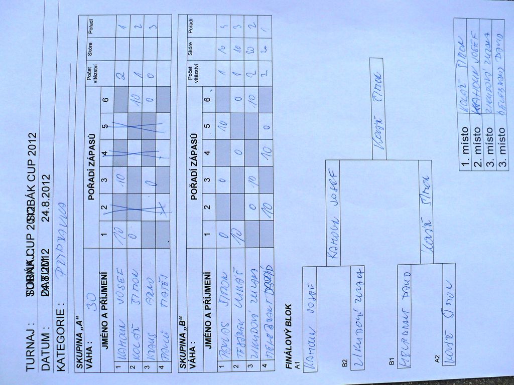 Sobenský rybník 201240.JPG.JPG